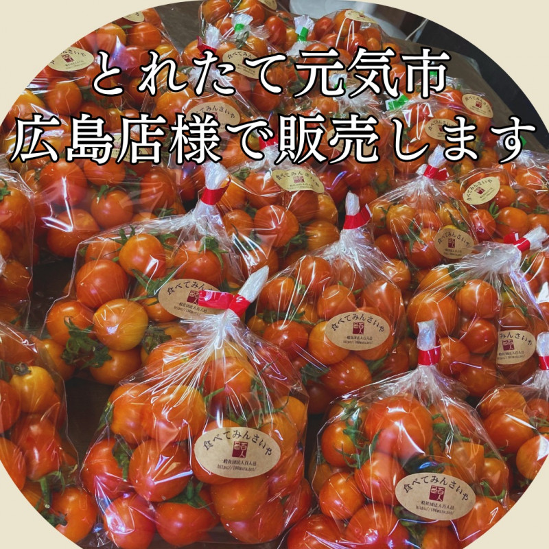 526215360_18475163341073255_6444800486716658527_n