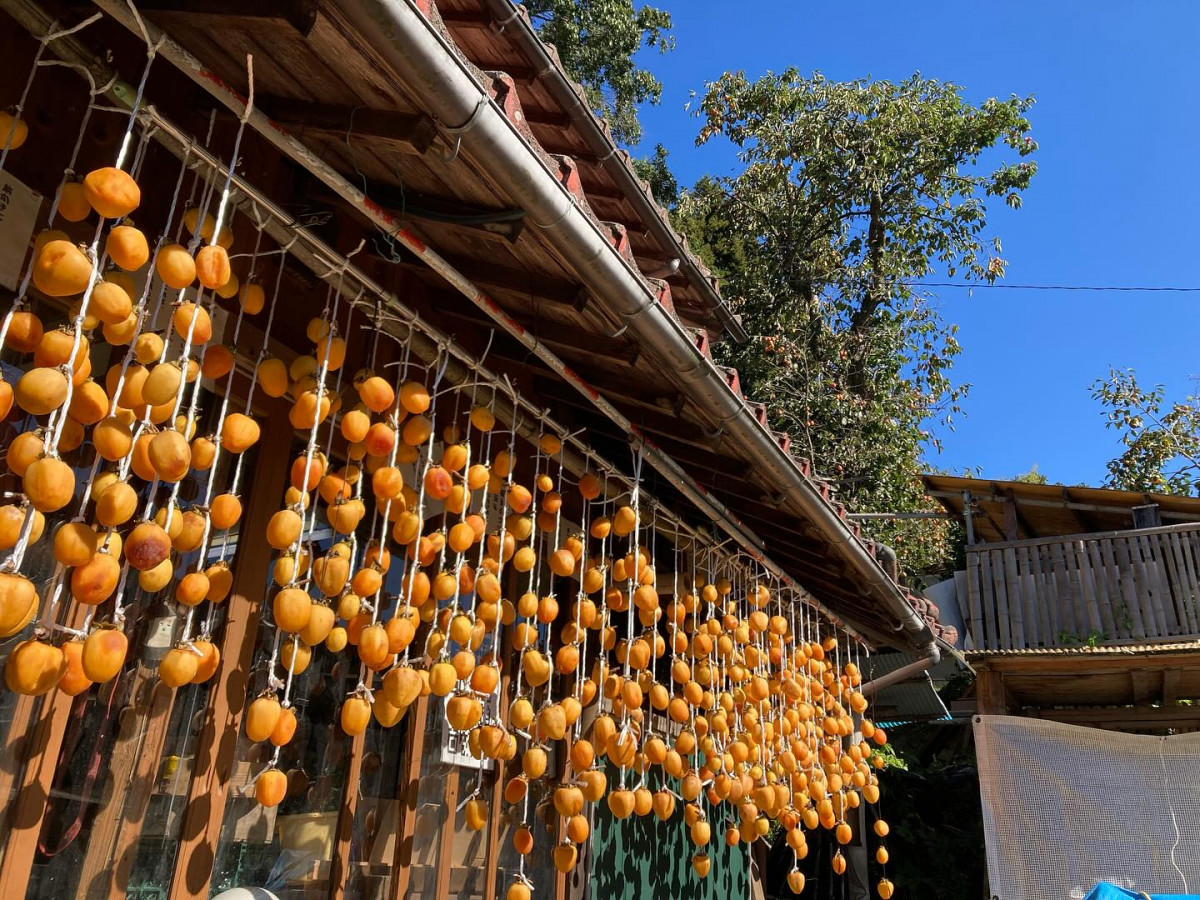 572032349_18492075766073255_739197808768478445_n