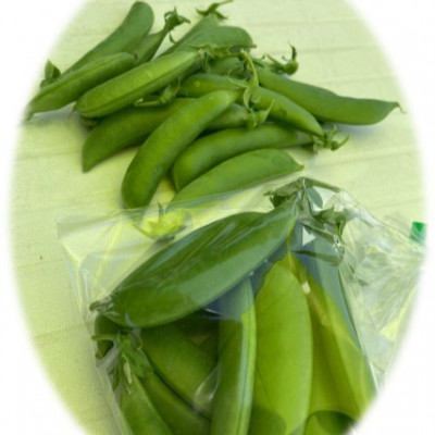 499081811_18463235962073255_5173205860817730814_n