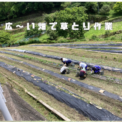 500970632_18464412106073255_4888665527955308390_n