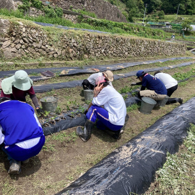 501466959_18464412118073255_8096378374166697469_n