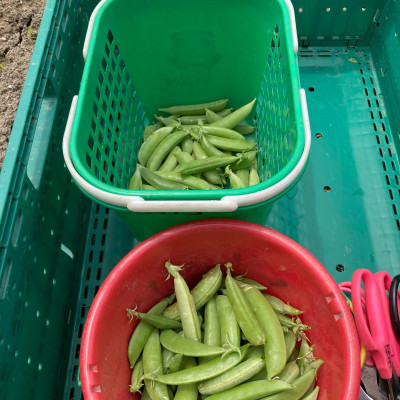 502816420_18465229660073255_7881282117508535533_n