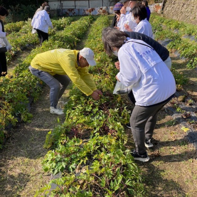 588648707_18497919121073255_3631381061173763525_n